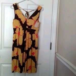 Size 8p new dress